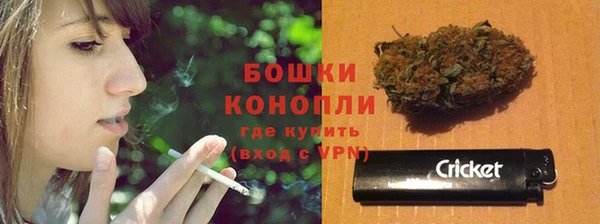 сатива Вязьма
