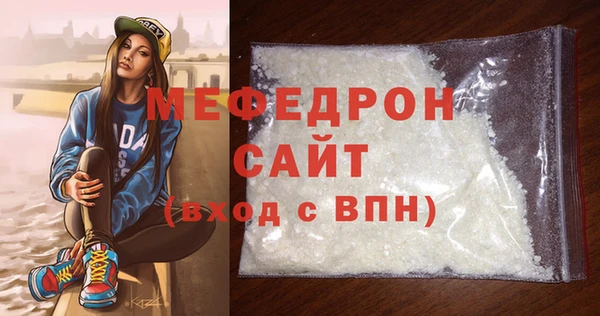 индика Волоколамск