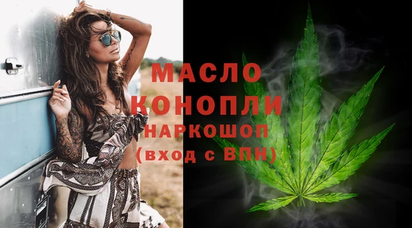 сатива Вязьма