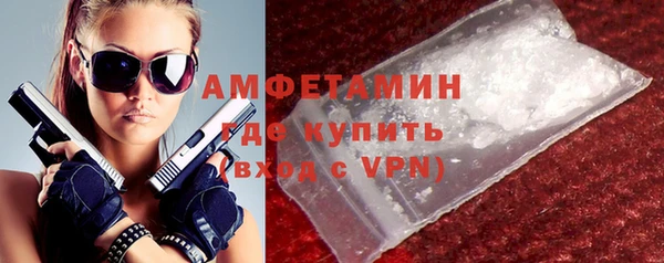 сатива Кулебаки