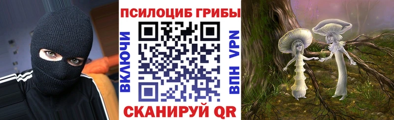 Галлюциногенные грибы мицелий  Камень-на-Оби 