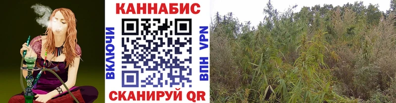 цены наркотик  Камень-на-Оби  Шишки марихуана планчик 